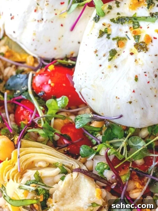 Crispy Baked Goat Cheese Balls Recipe 15 burrata barley salad in a white bowl with microgreens, artichoke hearts, and tomatoes