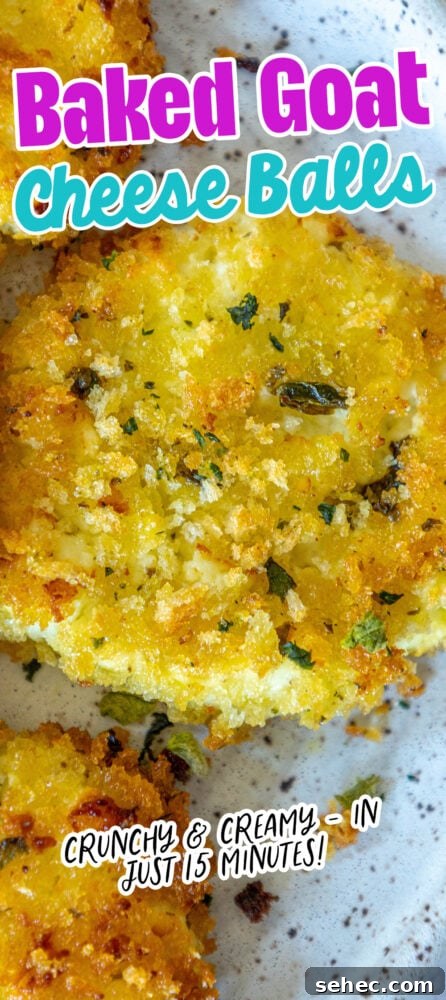 Crispy Baked Goat Cheese Balls Recipe 23 golden baked breaded goat cheese balls topped with herbs on a white speckled plate