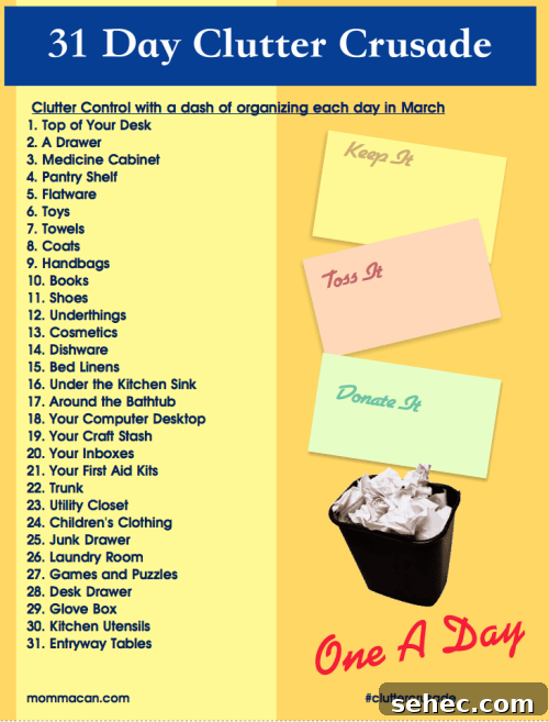 Declutter Around the Tub 31 Day Clutter Crusade Day 17 3 Clutter control tips, organization, decluttering, daily cleaning, home organization.