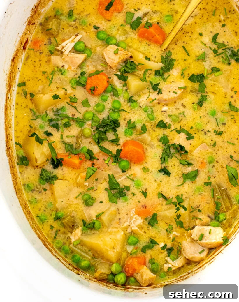 Slow Cooker Chicken Stew with Vegetables 2 A top down view of slow cooker chicken stew in a white slow cooker liner.