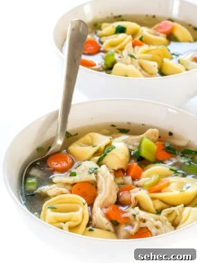 Slow Cooker Chicken Stew with Vegetables 10 img 74566 10