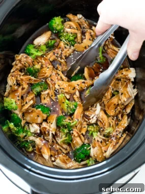 Slow Cooker Chicken Stew with Vegetables 14 img 74566 14