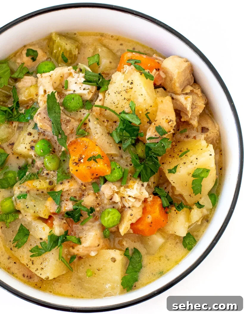 Slow Cooker Chicken Stew with Vegetables 9 A close up shot of slow cooker chicken stew in a white serving bowl.