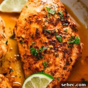 Garlic Lime Chicken Recipe with Juicy Citrus Flavor 2 Overhead view of a lime garlic chicken breast