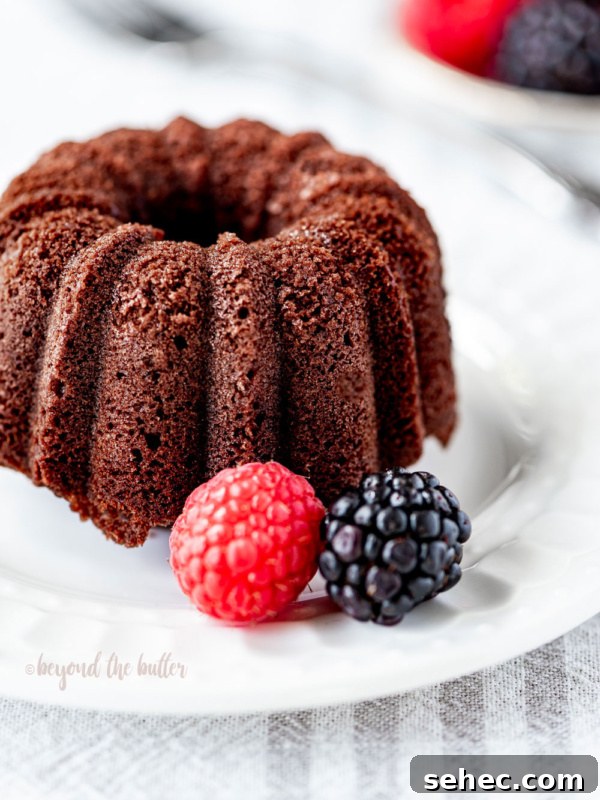 Moist Marble Bundt Cake Recipe 17 Mini bundt chocolate pound cake on white dessert plate garnished with berries.