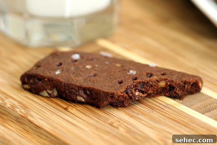 Buttery Chocolate Shortbread Cookies Recipe 12 Malted Chocolate Pecan Shortbread Cookies12