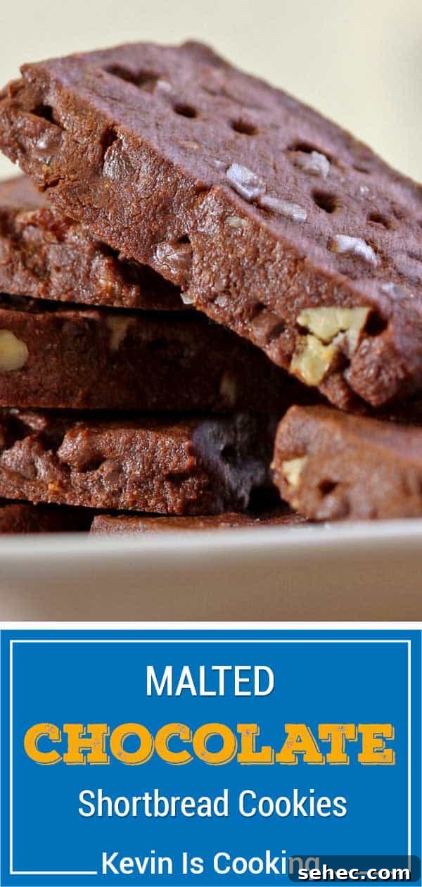 Buttery Chocolate Shortbread Cookies Recipe 14 chocolate shortbread cookies