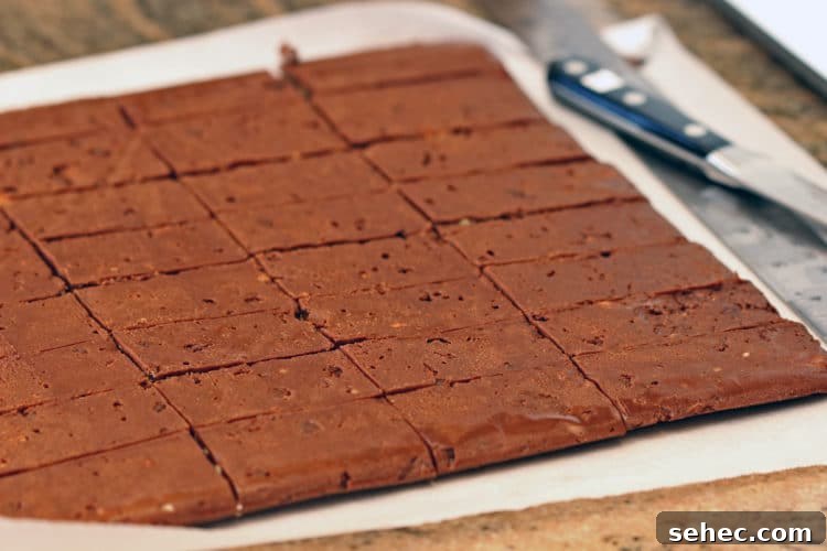 Buttery Chocolate Shortbread Cookies Recipe 7 Malted Chocolate Pecan Shortbread Cookies6
