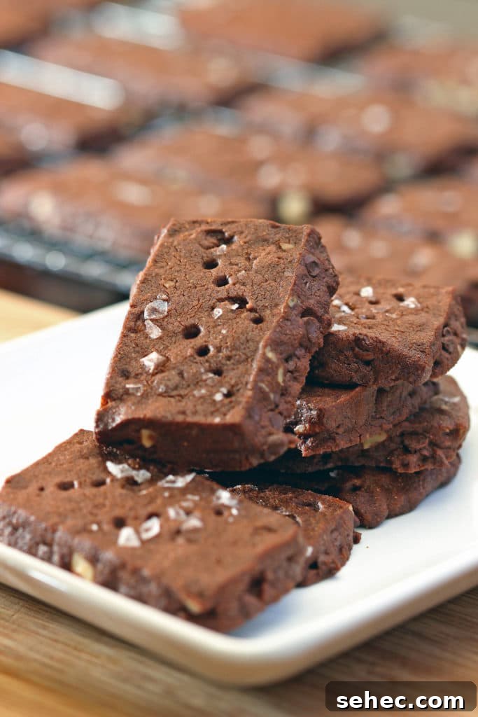 Buttery Chocolate Shortbread Cookies Recipe 10 Malted Chocolate Pecan Shortbread Cookies9