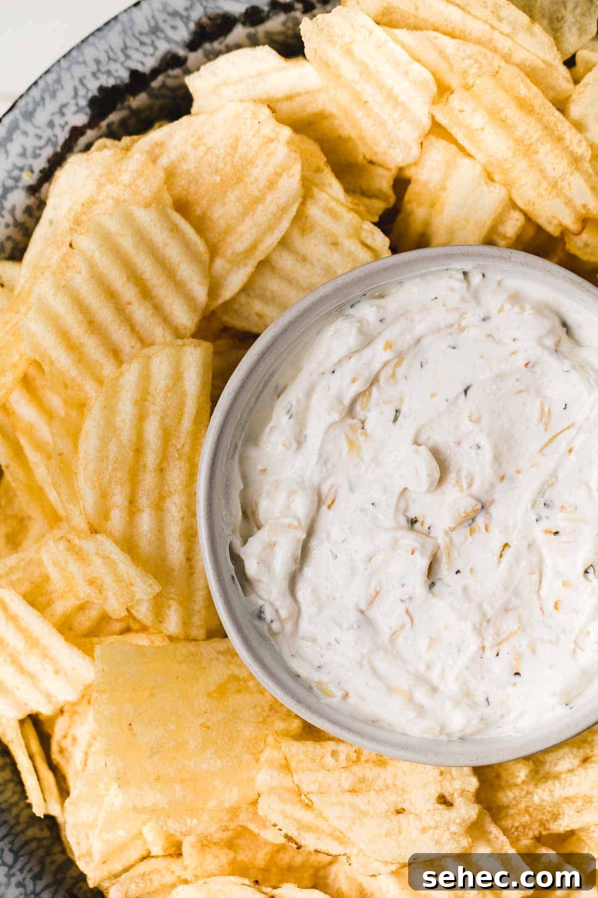 Gluten Free French Onion Chip Dip Recipe 5 Close up of Gluten-free French onion chip dip in small bowl surrounded by wavy potato chips.