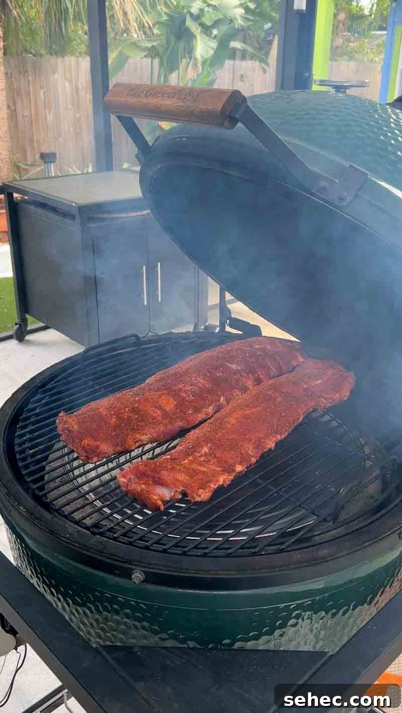 Hot and Fast Baby Back Ribs on the Big Green Egg 6 img 8056 5
