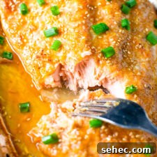 Foil Baked Sesame Ginger Salmon Recipe 2 Sesame Ginger Salmon in Foil Recipe