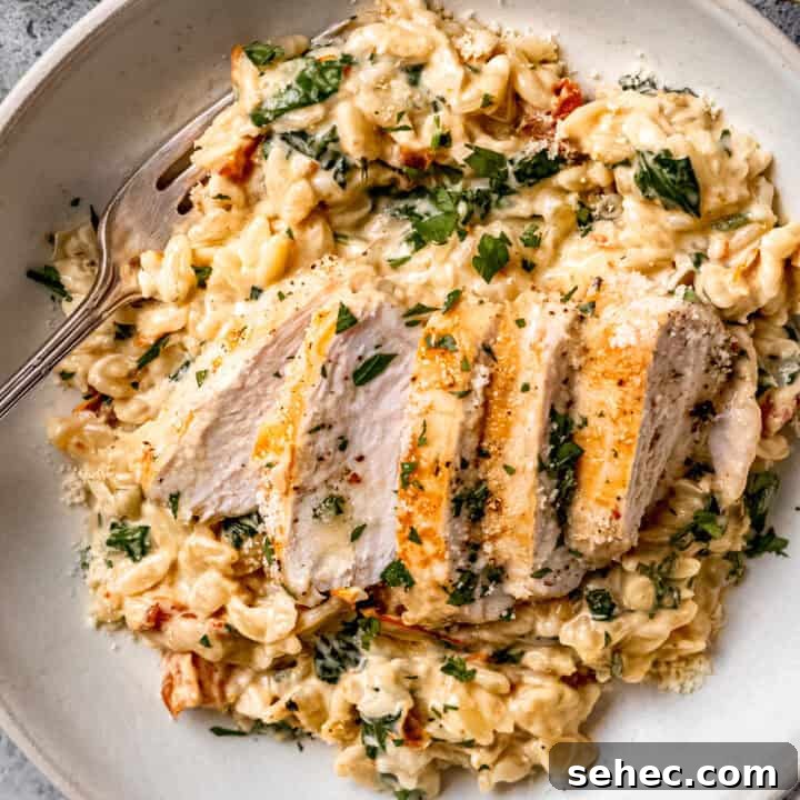 Indian Butter Chicken Recipe with Creamy Tomato Sauce 5 Tuscan chicken orzo in a white bowl on a blue table.