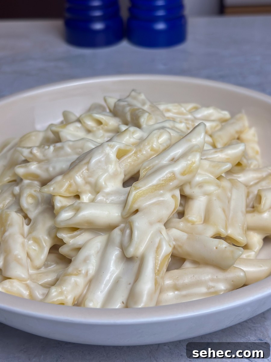 Creamy Garlic Penne Pasta Recipe 8 creamy garlic penne