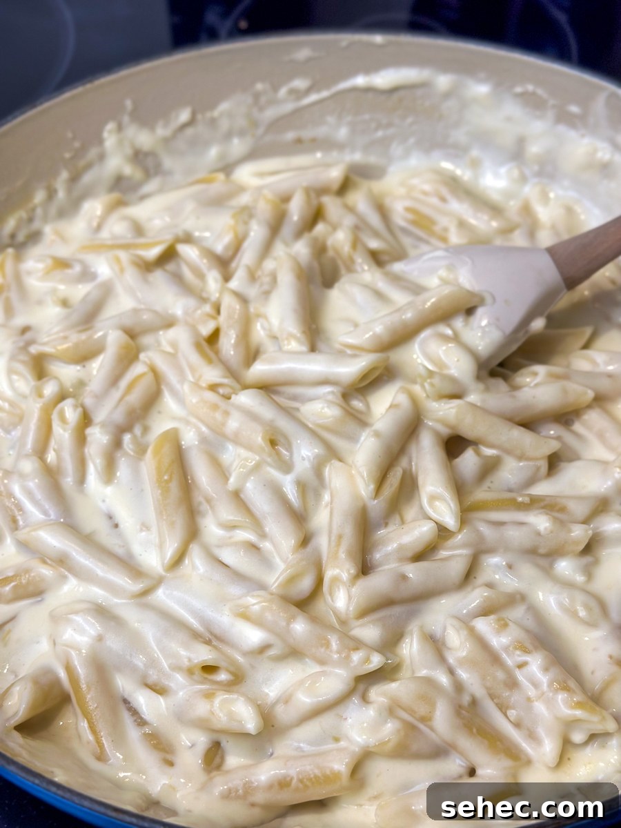 Creamy Garlic Penne Pasta Recipe 9 creamy garlic penne