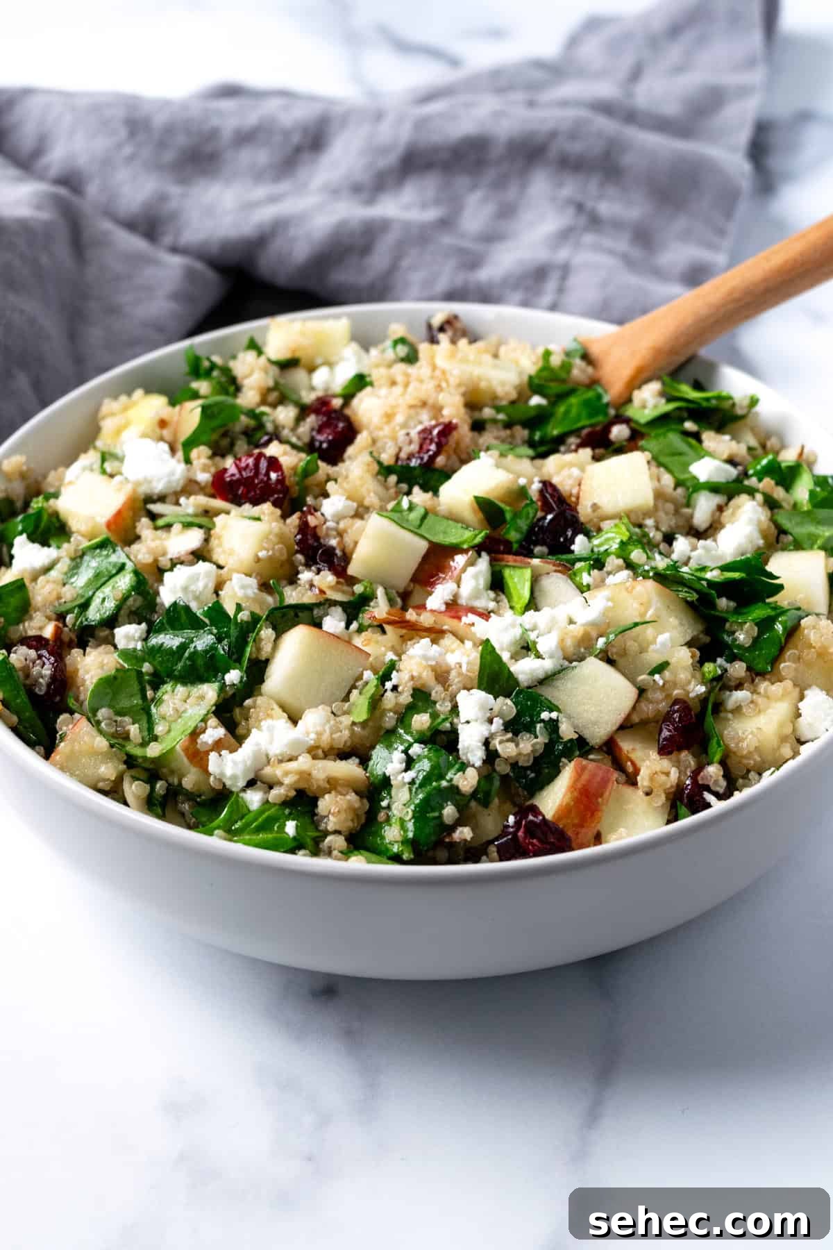 Apple Cranberry Quinoa Salad for Fall 2 Apple Cranberry Quinoa Salad in a white bowl with wood serving spoon.