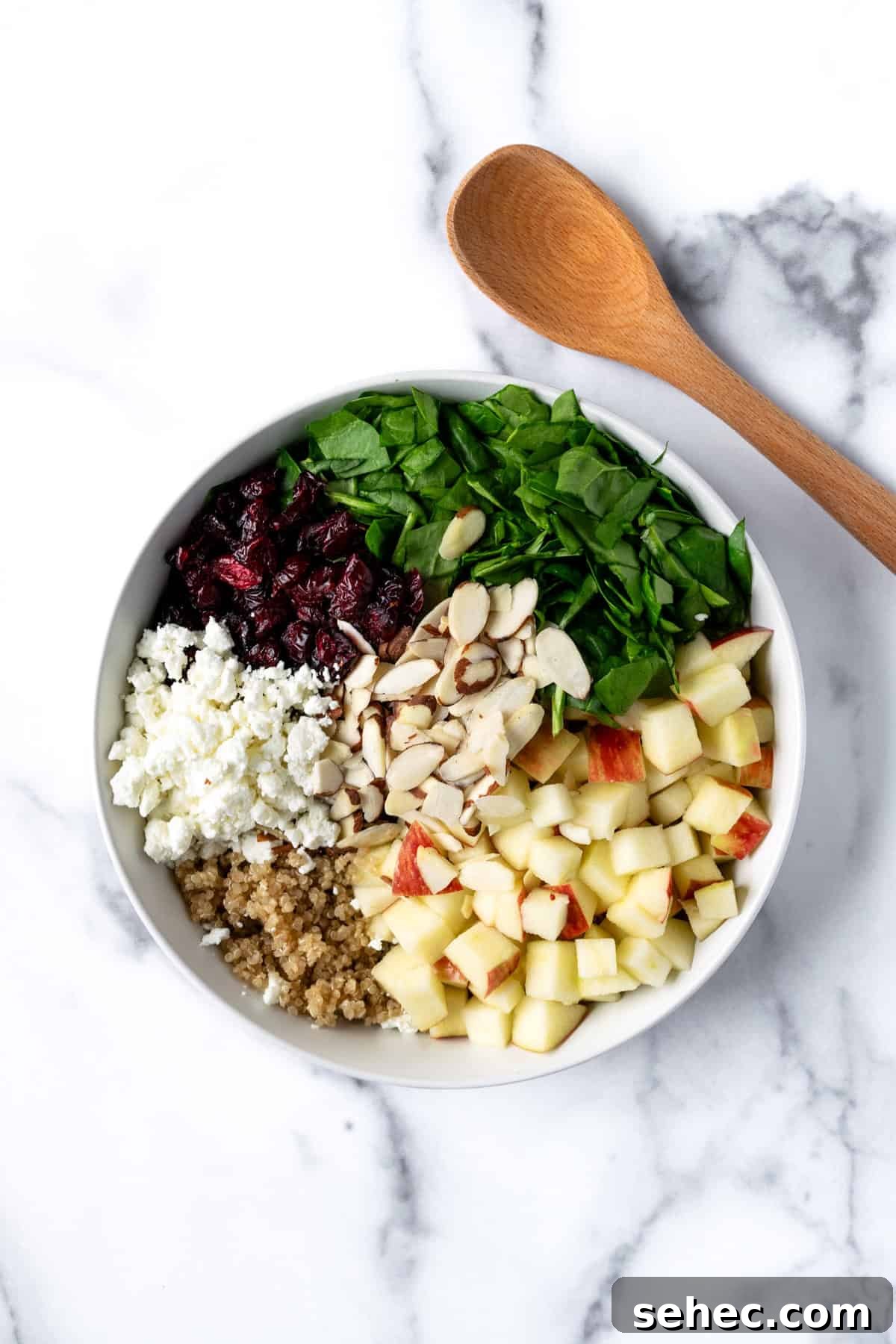 Apple Cranberry Quinoa Salad for Fall 6 Apple Cranberry Quinoa Salad Ingredients in a bowl ready to mix.