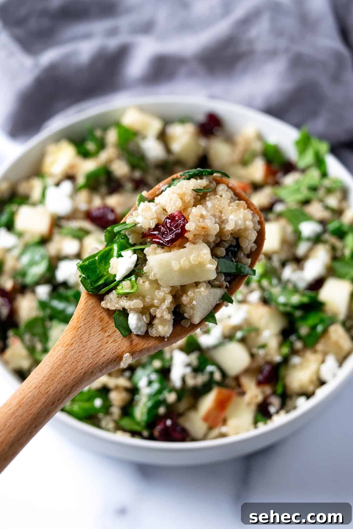 Apple Cranberry Quinoa Salad for Fall 7 Apple Cranberry Quinoa Salad on a wooden serving spoon.