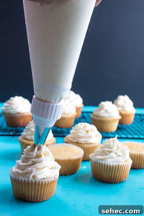 Dreamy Vanilla Buttercream Frosting 2 A light, fluffy, and dreamy Vanilla Buttercream Frosting. Perfect for frosting cakes, cupcakes, and more!