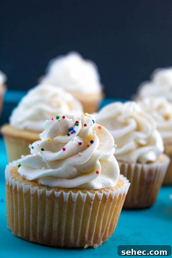 Dreamy Vanilla Buttercream Frosting 6 A light, fluffy, and dreamy Vanilla Buttercream Frosting. Perfect for frosting cakes, cupcakes, and more!