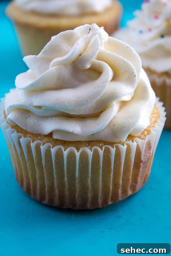 Dreamy Vanilla Buttercream Frosting 7 A light, fluffy, and dreamy Vanilla Buttercream Frosting. Perfect for frosting cakes, cupcakes, and more!