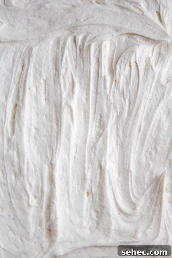 Dreamy Vanilla Buttercream Frosting 8 A light, fluffy, and dreamy Vanilla Buttercream Frosting. Perfect for frosting cakes, cupcakes, and more!