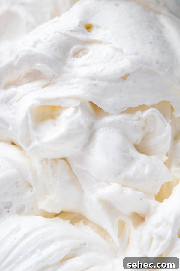Dreamy Vanilla Buttercream Frosting 9 A light, fluffy, and dreamy Vanilla Buttercream Frosting. Perfect for frosting cakes, cupcakes, and more!