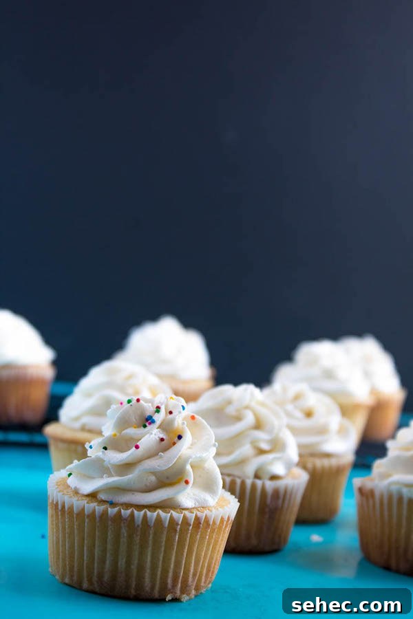 Dreamy Vanilla Buttercream Frosting 10 A light, fluffy, and dreamy Vanilla Buttercream Frosting. Perfect for frosting cakes, cupcakes, and more!