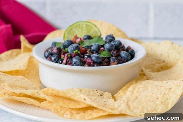 Image for Fresh Blueberry Salsa