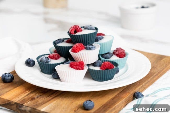 Image for Frozen Yogurt Cups with Fruit (Vegan)