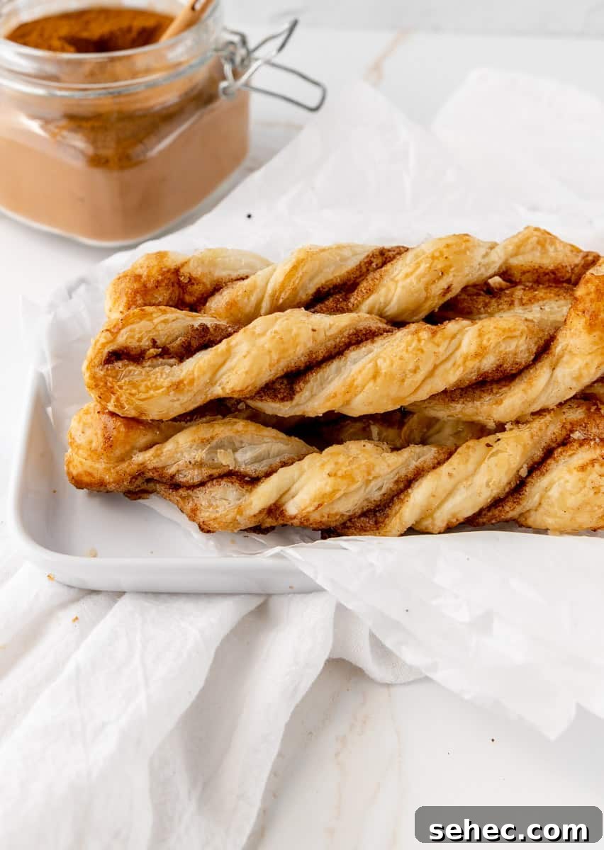 Cinnamon Sugar Puff Pastry Twists 12 Cinnamon Puff Pastry Twists