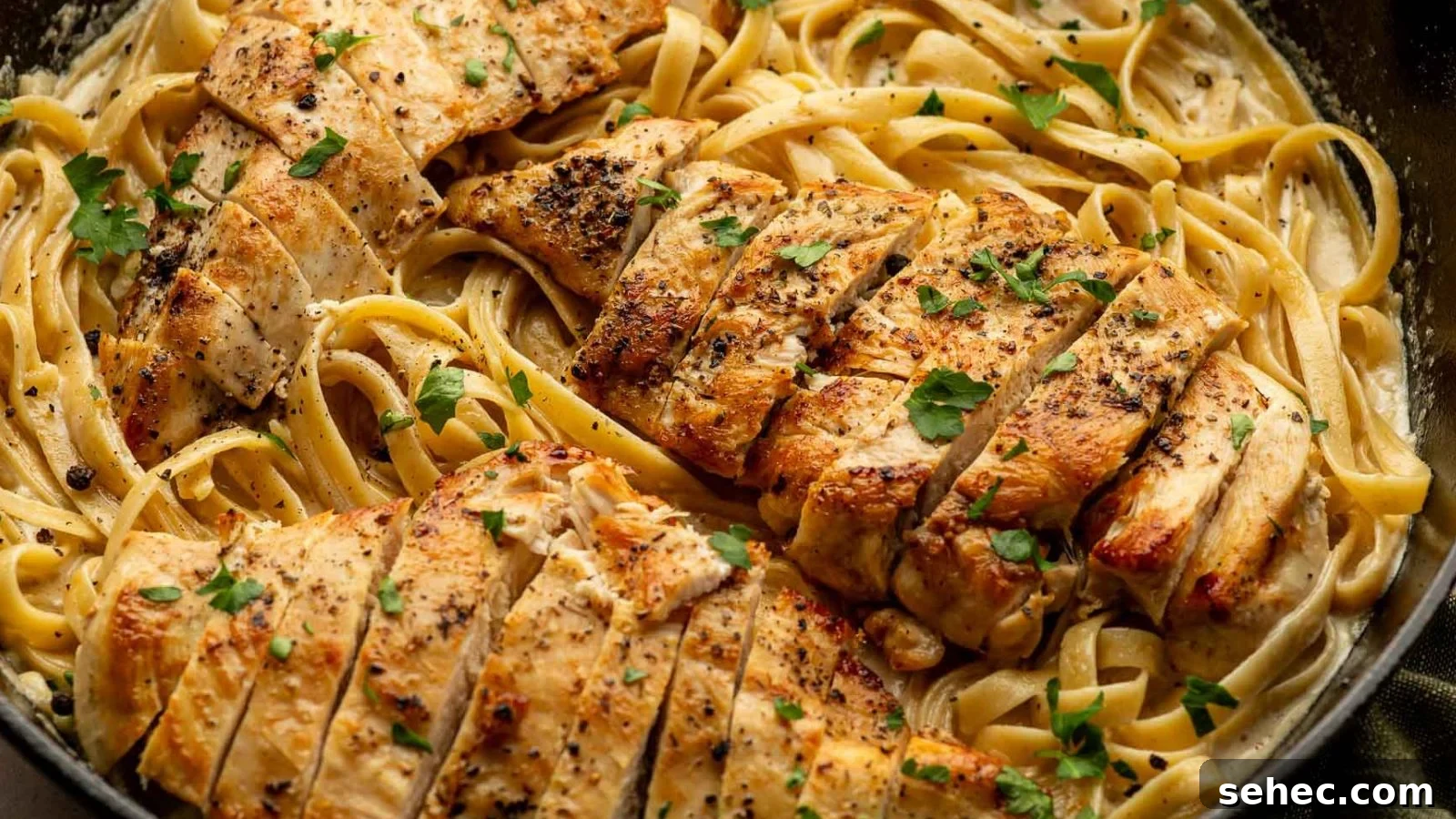 Pasta coated in creamy Alfredo sauce with sliced chicken.