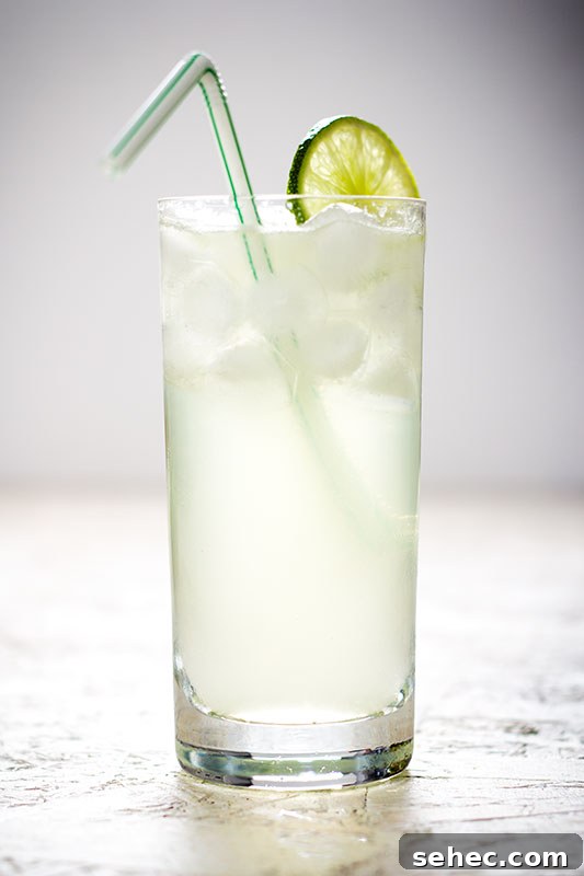 Get to Know the Food Blogger Behind the Recipes 3 Sweety salty fresh lime soda