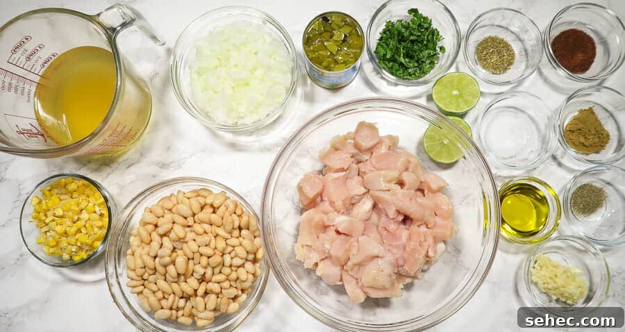 Dairy Free Instant Pot White Chicken Chili 4 overhead shot of the ingredients for the instant pot white chicken chili (dairy-free)