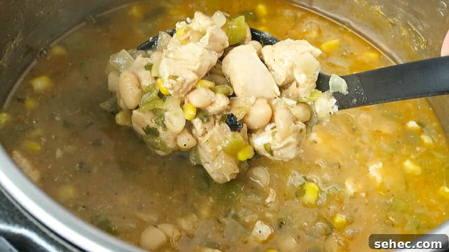 Dairy Free Instant Pot White Chicken Chili 5 img 882 4