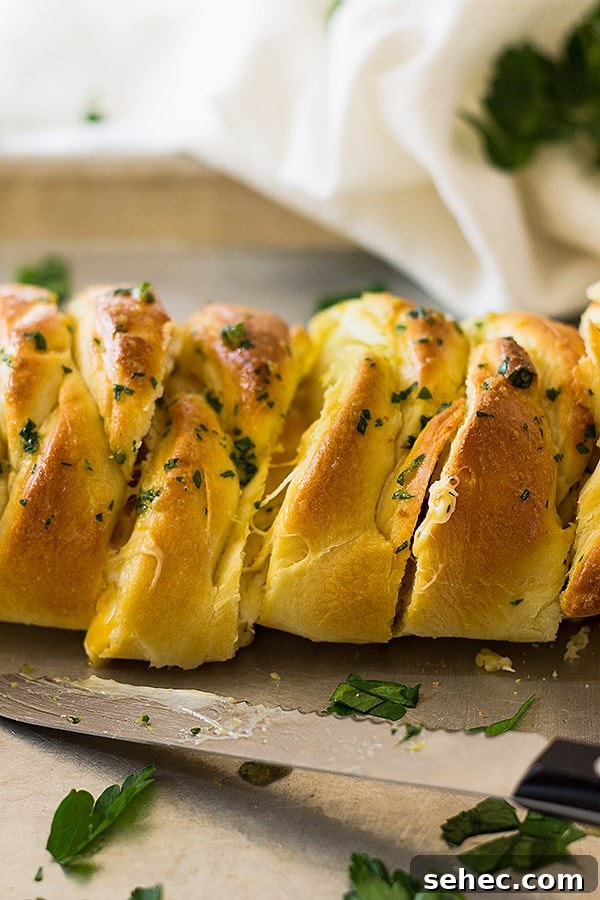 This Three Cheese Braid is a great appetizer. It's filled with melty cheese and brushed with melted butter and garlic. 