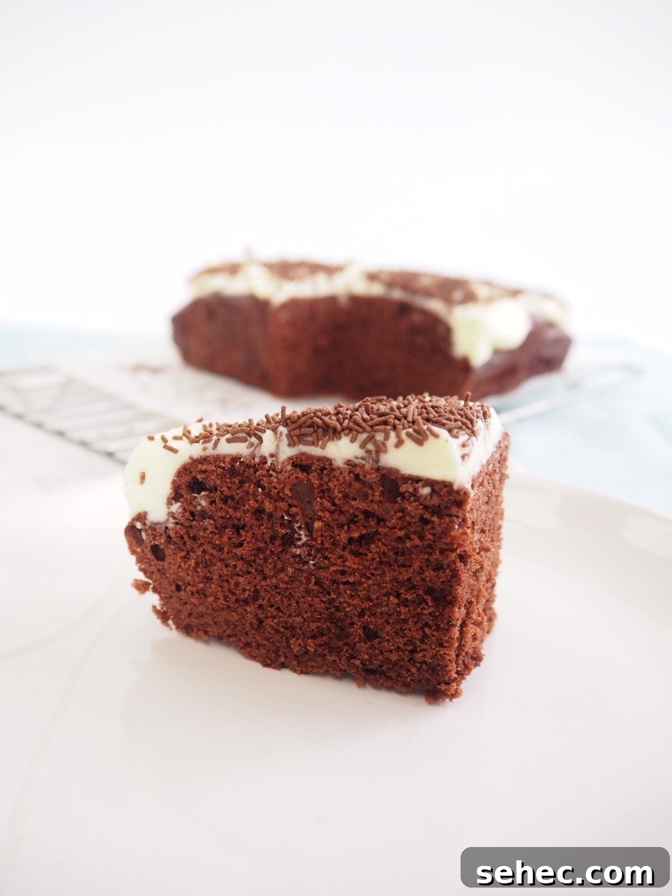 5 Minute Microwave Chocolate Cake 9 Microwave Chocolate Cake