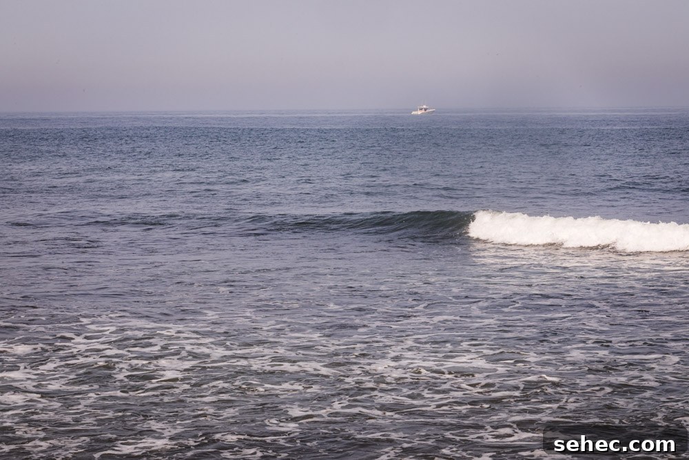 Ditch Plains Surf Guide Waves Tides and Local Tips 12 The wave by the lighthouse in Ditch Plains, NY.