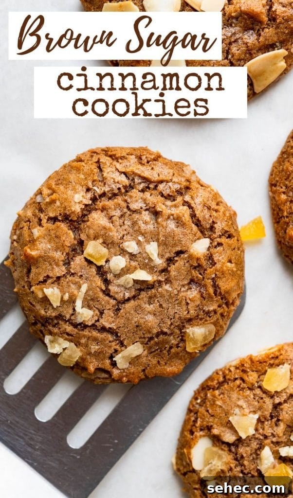 Chewy Brown Sugar Cinnamon Cookies 10 a pin to save for later.