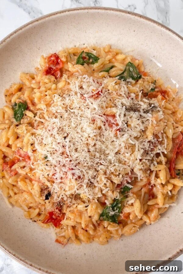 Stanley Tucci's Pasta Fagioli Recipe 12 Bowl of tomato orzo with basil topped with grated parmesan.