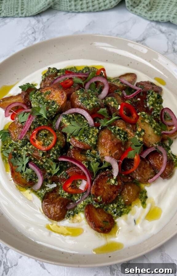 Stanley Tucci's Pasta Fagioli Recipe 13 herb roasted potatoes with chimichurri