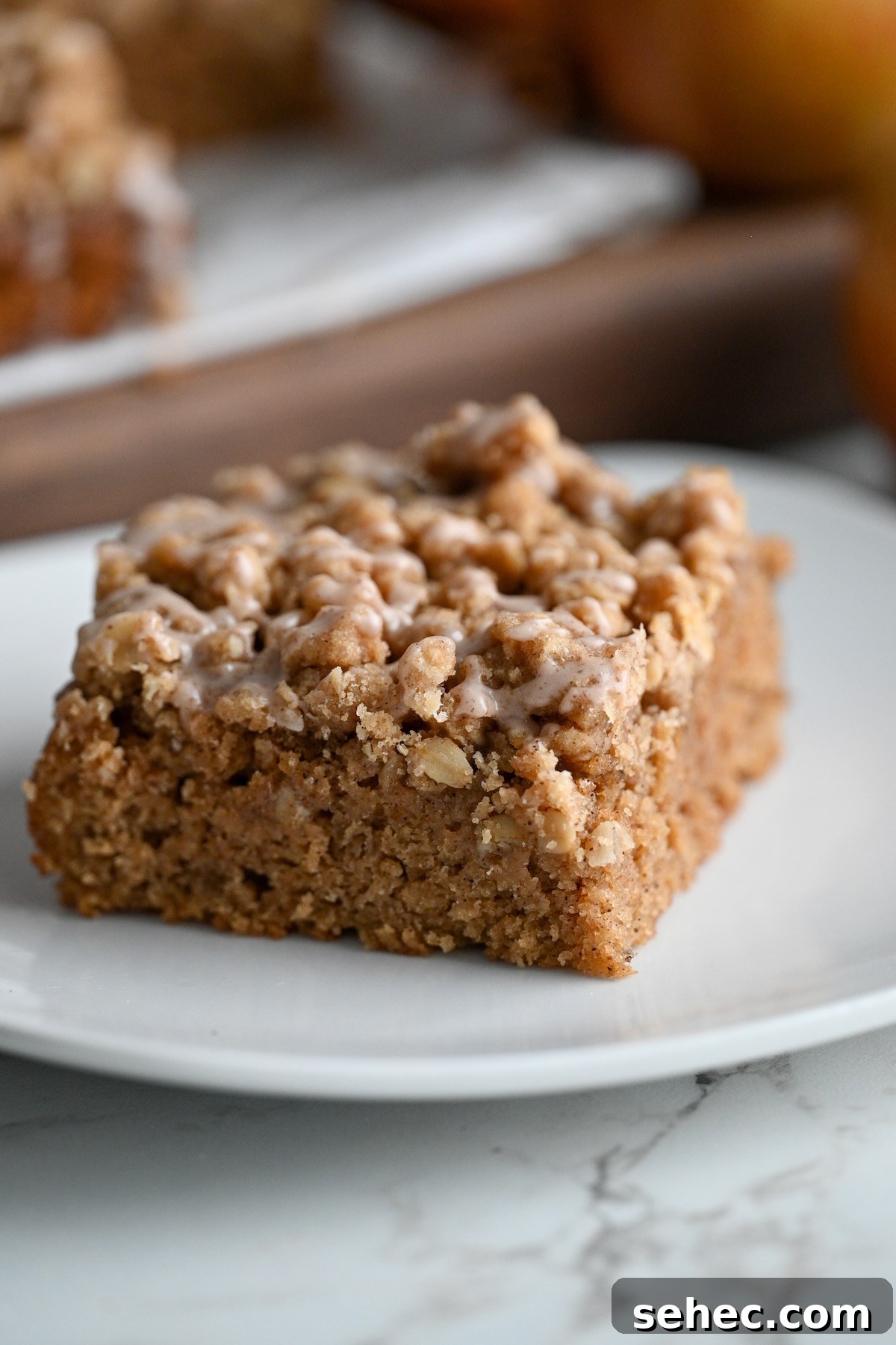 Moist Applesauce Crumb Cake with Cinnamon Streusel 6 close up view of sliced applesauce coffee crumb cake on a white plate with the rest of the cake in the background.