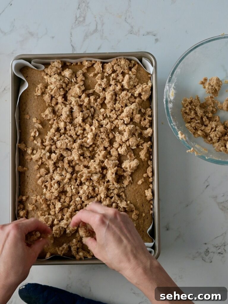 Moist Applesauce Crumb Cake with Cinnamon Streusel 16 Placing the crumb topping evenly over the applesauce coffee cake batter in a parchment-lined pan before baking.
