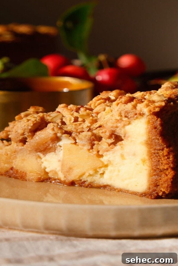 Nutella Salted Caramel Brioche Bread Pudding 13 slice of apple crumble cheesecake on a beige plate.