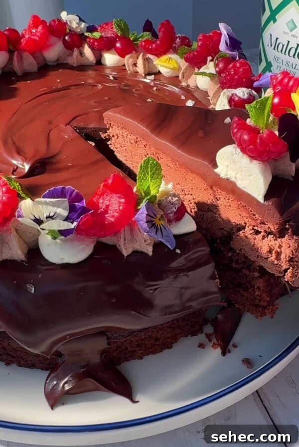 Nutella Salted Caramel Brioche Bread Pudding 14 chocolate cake with chocolate mousse with slice removed.