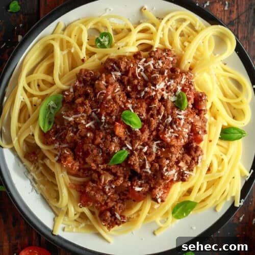 plate of spaghetti with best ever spaghetti sauce.