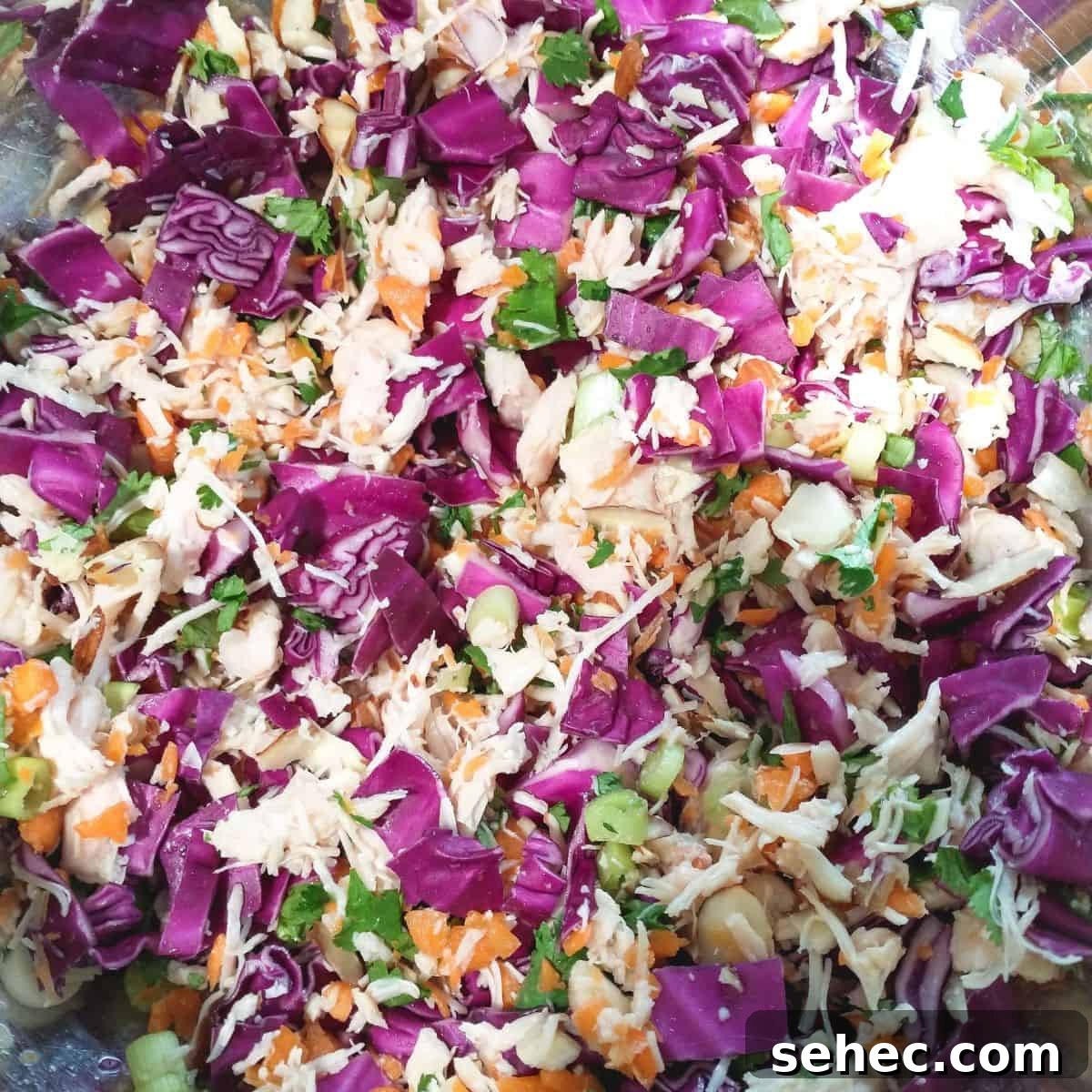 Asian Chopped Chicken Salad Wrap with Sesame-Ginger Dressing 3 Mixed ingredients.