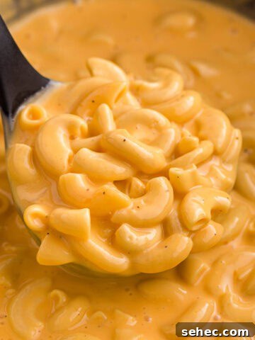 Slow Cooker Hamburger Hashbrown Casserole 8 Crockpot Velveeta Mac and Cheese