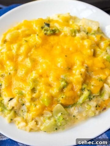 Slow Cooker Hamburger Hashbrown Casserole 11 Crockpot Broccoli Rice Casserole