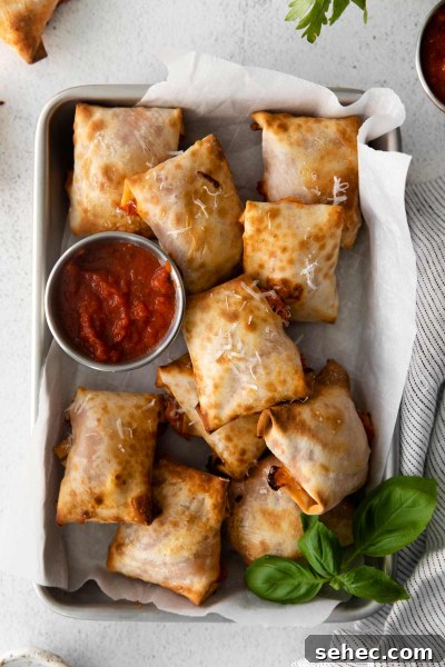 Crispy Air Fryer Pizza Rolls Recipe 2 overhead shot of tray of air fryer pizza rolls